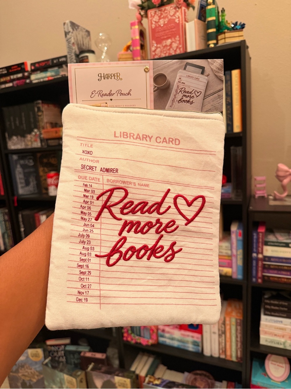 Harper Cream Canvas E-Reader Pouch with Red Embroidery